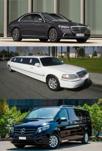 Design sans titre (28)